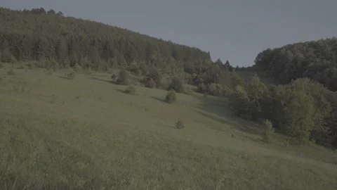 Spring wild landscape Stock Footage 231447790