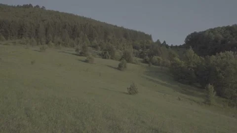 Spring wild landscape Stock Footage 231447860