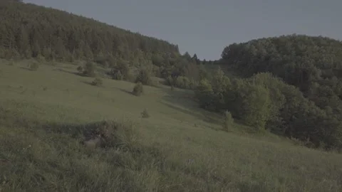 Spring wild landscape Stock Footage 231447900