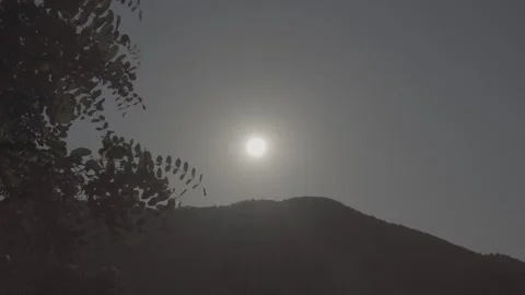 Spring wild landscape Stock Footage 245659569