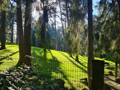 Spring in the wild Stockfoto's