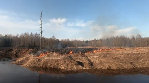 Spring Wildfire - bushfire burning, Forest fire and field fire, dry grass burns Stock Footage 157453231