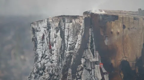 Spring wildfire Stock Footage 50448367