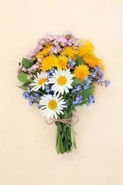 Spring Wildflower Bouquet Tied with String Bow Stock Photos