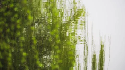 Spring willow branches reflecting on calm lake surface with gentle water ripples Video stock 347043016