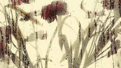 Spring Windows Rain Drops Stock Footage 88037791