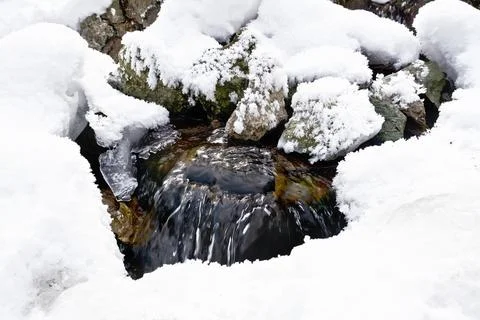 Spring in winter Stock Photos