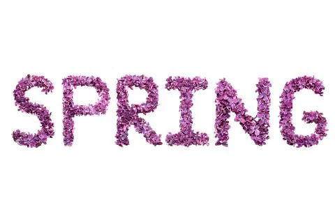 SPRING word text made of pink flowers isolated on white background Stock Photos