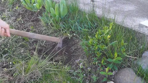Spring work in the garden . Stock Footage 129247509