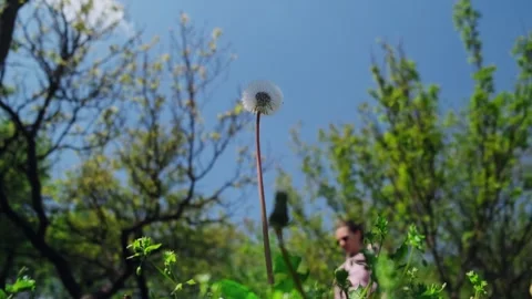 Spring work in the garden. Stock Footage 261002031