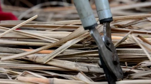 Spring working in the garden. Stock Footage 73739380