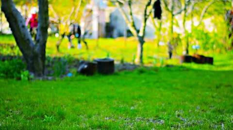 Spring works in the garden Video stock 38237508