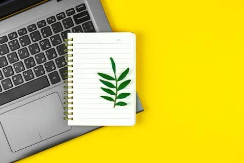 Spring workspace concept, notebook and blank notepad with green leaves, creat Stock Photos