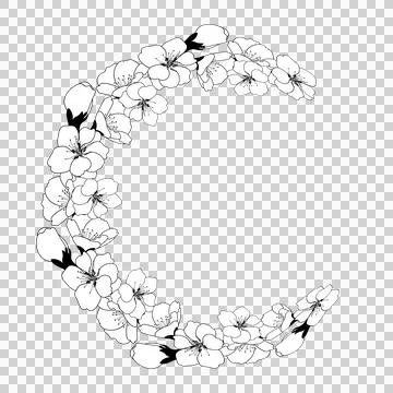 Spring wreath of cherry blossoms. Round frame with space for text. Template Illustrazione stock