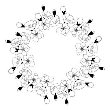 Spring wreath of cherry blossoms. Round frame with space for text. Template.. Stock Illustration