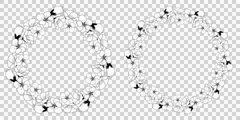 Spring wreath of cherry blossoms. Round frame with space for text. Template Stock Illustration