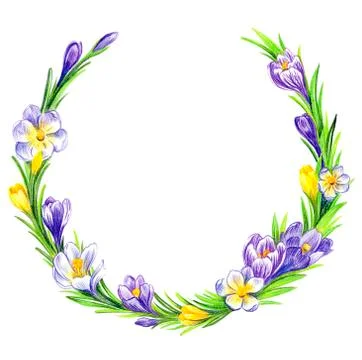 Spring wreath of crocus flowers Stock Illustration