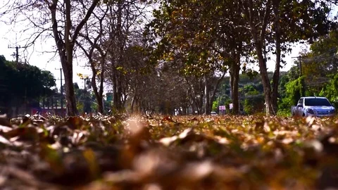 The spring of the year is coming. Stockbeeldmateriaal 83744640