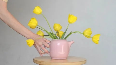 Spring yellow flowers. Stock Footage 281578601
