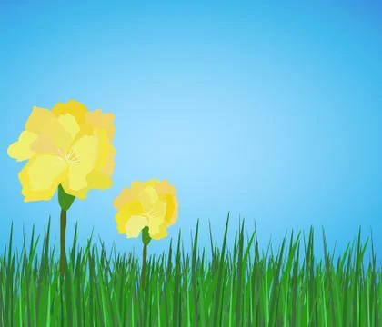 Spring yellow flowers peony on green grass Stock Illustration