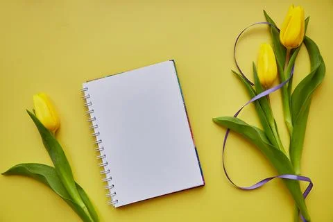 Spring yellow tulips and notepad mock up. Womens day concept. Purple ribbon in Stock Photos