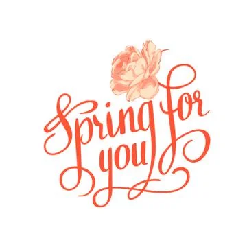 Spring for you. Calligraphic text. Stock Illustration