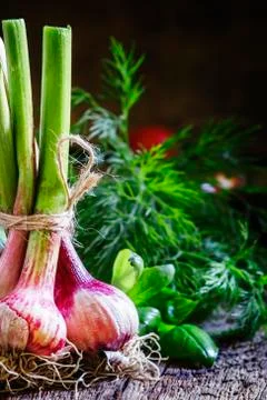 Spring young garlic in a bundle, fresh green basil, dill, tomatoes, vintage w Stock Photos