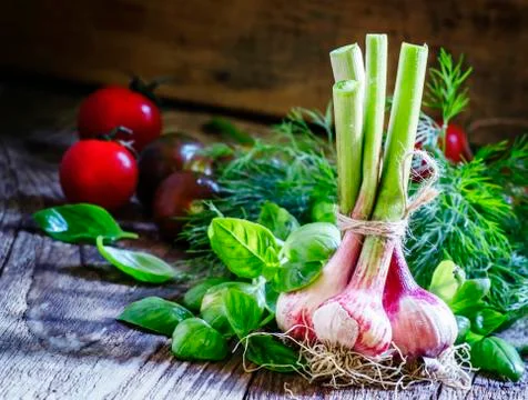 Spring young garlic in a bundle, fresh green basil, dill, tomatoes, vintage w Stock Photos