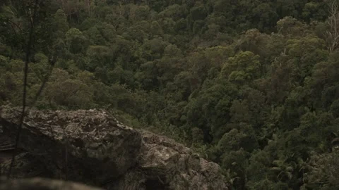 Springbrook Mountains - Purling Brook Falls - Tilt up Stock Footage 145887301