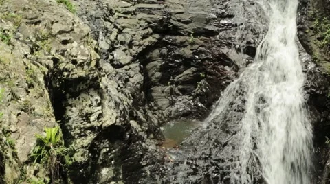 Springbrook Waterfall From Above Vídeo Stock 45438050