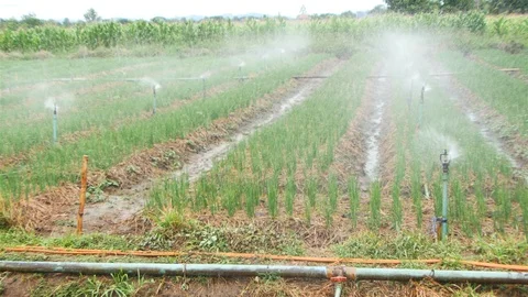 Springer for farming Stock Footage 90798537