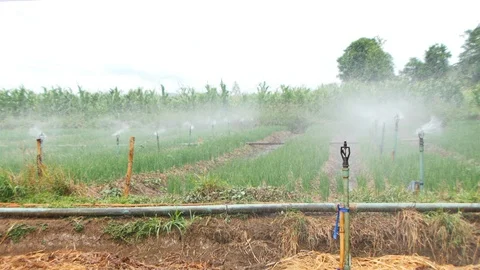 Springer for farming Stock Footage 90798978