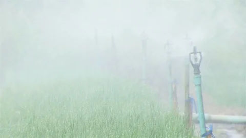 Springer for farming Stock Footage 90799173