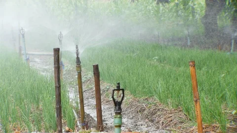 Springer for farming Stock Footage 90800513