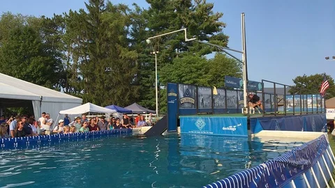 Springer Spaniel Participates in Dog High Jump Competition Stock Footage 79793992