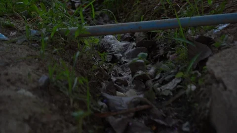 Springer water in the garden Stock Footage 123804645
