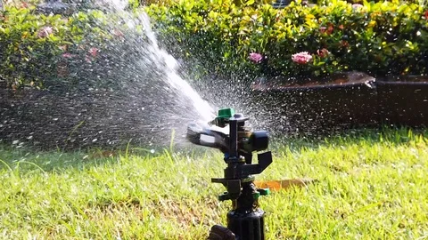 Springer water system used for watering plant and flower in the garden, full hd Stock Footage 103827997