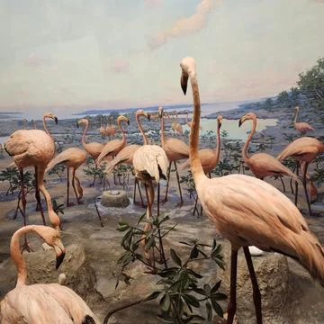 Springfield Museums in Massachusetts Photos
