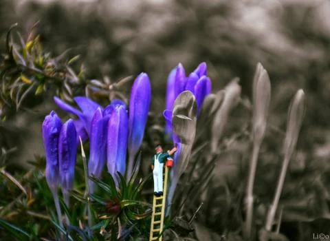 Springpainting Stock Photos