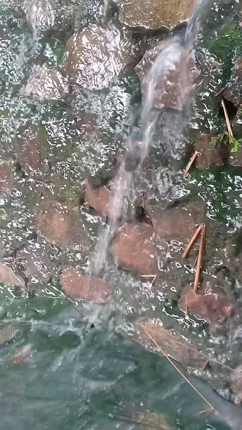 Springs Video stock 221401114