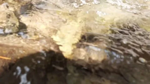 Springs from the mountains Stock Footage 210746182