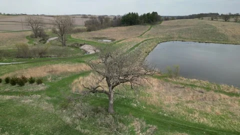 Spring's slow start Stock Footage 298788758