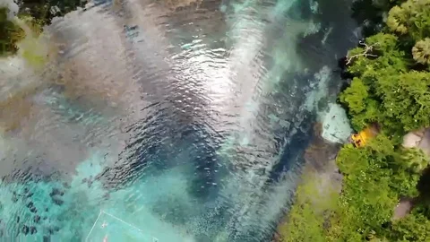 Springs spin Stock Footage 94502809