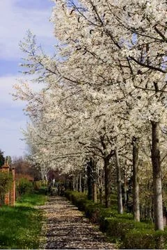 Springtime 1 Stock Photos