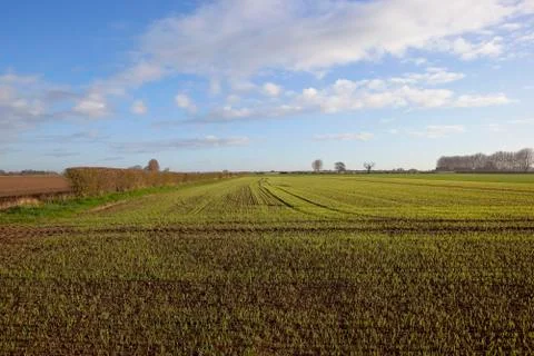 Springtime agriculture Stock Photos