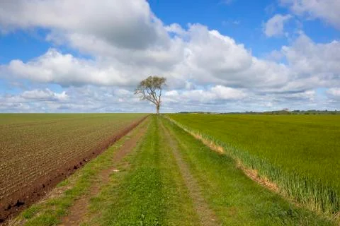 Springtime agriculture Stock Photos