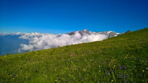 Springtime in the alps Stock Photos