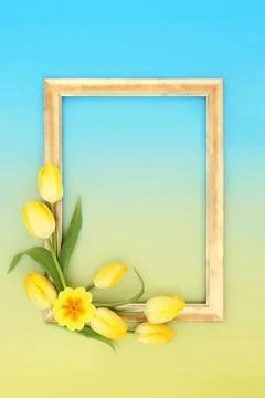 Springtime and Easter Flower Gold Frame Background Stock Illustration