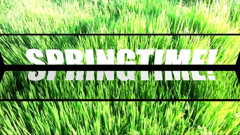 Springtime animation Video stock 123729573