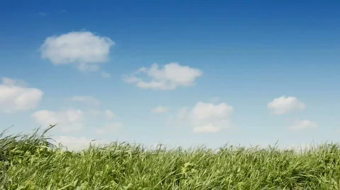 Springtime-background 動画素材 679503